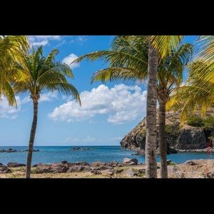 Meet your Posher, Jess